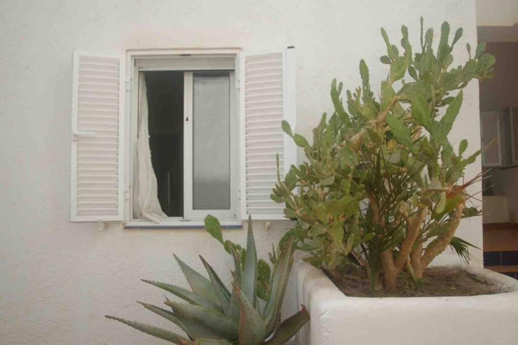 Apartamento A 2 Minutos Andando A La Playa. La Isleta del Moro Luaran gambar